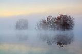 Morning Fog On Lake Martin_26084